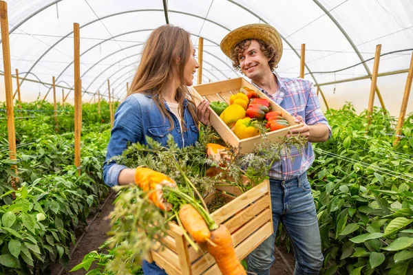 快乐的女农学家和她快乐的同事一边拿着装有成熟农作物的木箱一边互相调情 — 图库照片