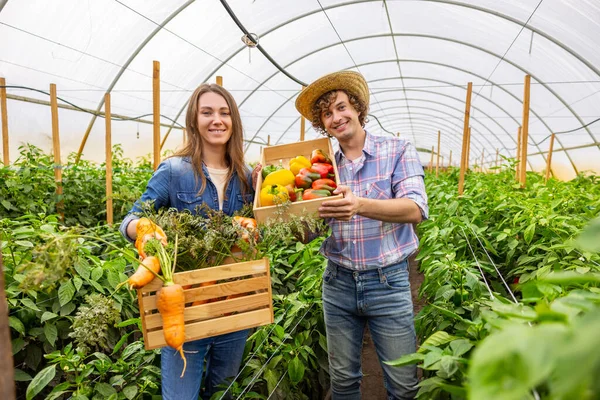 Smiling Female Vegetable Grower Her Happy Colleague Holding Wooden Crates — Stock Photo, Image
