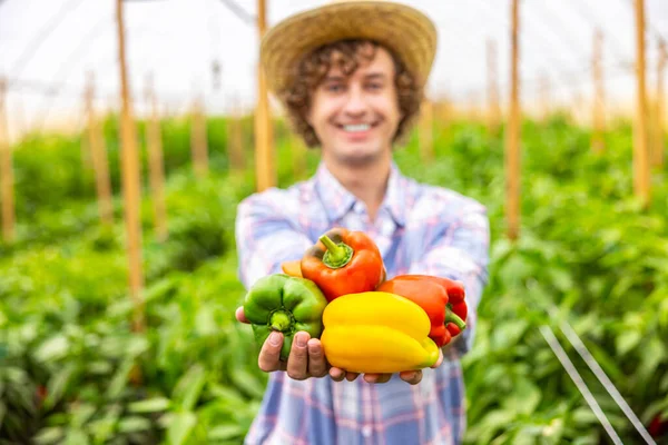 カメラの前で彼の手に熟したピーマンを保持笑顔幸せな農学者のウエストアップの肖像画 — ストック写真