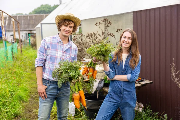 幸せなカップルの若い農場労働者を笑顔彼らの手に新鮮な熟した有機ニンジンを保持 — ストック写真