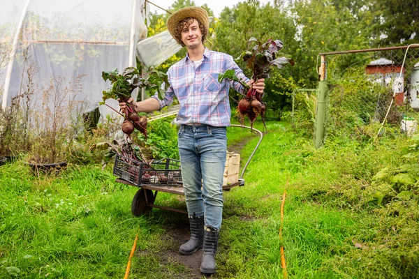 在摄像机前展示一位高兴的农场工人年轻新鲜有机甜菜的全幅肖像 — 图库照片