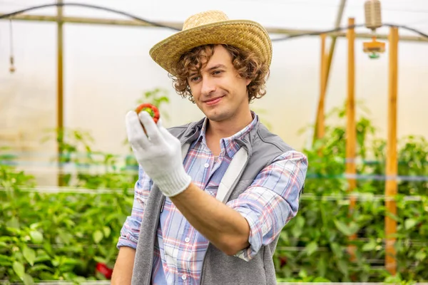 彼の手に赤ピーマンを見て わらの帽子の中の満足した農業者のウエストアップの肖像画 — ストック写真