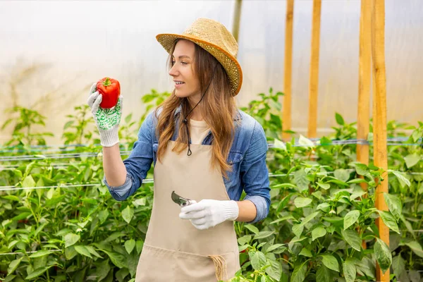Leende Nöjd Kvinnlig Agronomen Halmhatten Håller Ett Par Beskärande Saxar — Stockfoto