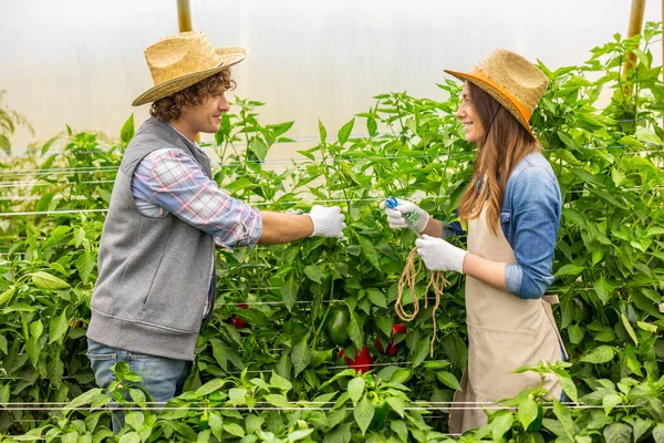 Elinde Makas Bahçe Sicimi Olan Gülümseyen Kadın Tarım Uzmanı Elinde — Stok fotoğraf