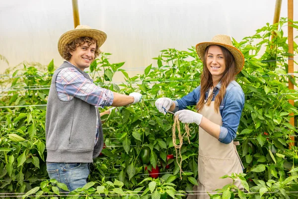 Glimlachende Vrouwelijke Agronomist Snijden Van Tuin Touw Met Een Schaar — Stockfoto
