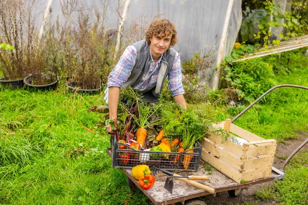 Sorrindo Satisfeito Jovem Trabalhador Agrícola Colocando Uma Caixa Com Legumes — Fotografia de Stock