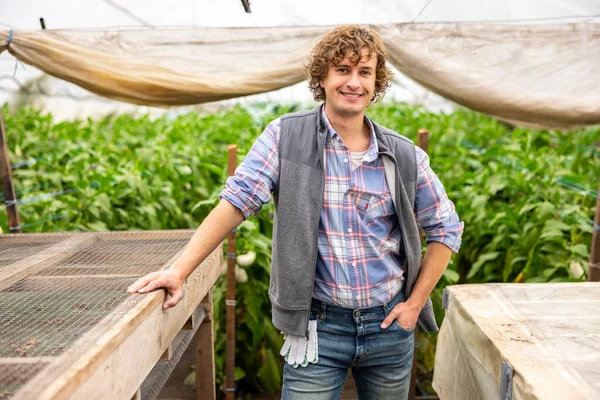 植物の間で温室に立つ若い野菜栽培者を笑顔と彼の前に見て — ストック写真