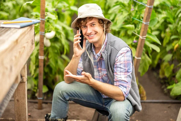 在电话交谈中 坐在温室里翻倒的水桶上 笑着种植蔬菜 — 图库照片