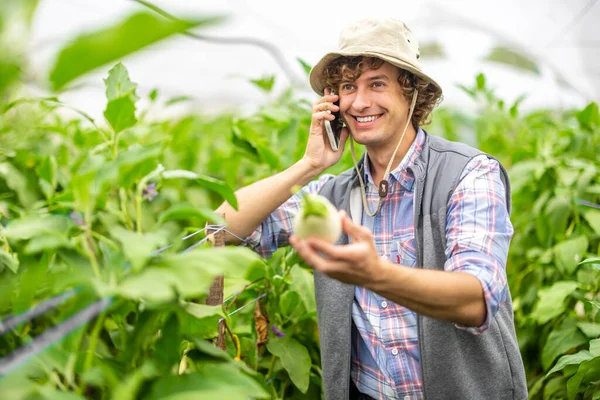 在温室里的电话交谈中 一个快乐的农学家手里拿着茄子的蜡像 — 图库照片