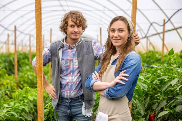 Smiling Contented Female Agriculturist Her Young Colleague Posing Camera Greenhouse — Photo
