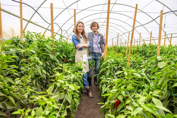 在温室里的胡椒花丛中 蔬菜种植者摆出一副镜头 高兴地微笑着 — 图库照片