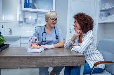 Training class. Expericenced gynecologist showing the anatomical model to junior colleague