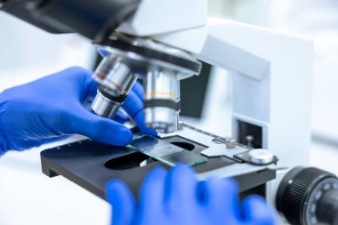 Mavi eldivenli tanınmayan bilim adamı veya doktor laboratuvar ve modern teknoloji araştırmaları için mikroskop kullanıyor.