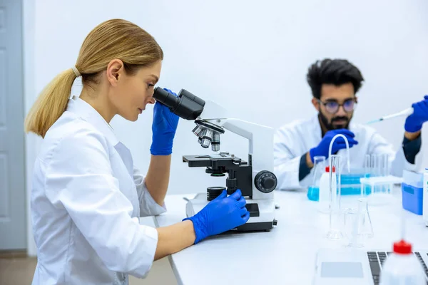 실험실에서 조사를 과학자들 식탁에 일하고 연구가 현미경을 사용하여 앞쪽에서 연구하고 — 스톡 사진