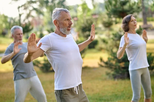 Mature Group People Workout Practice Tai Chi Park — Stock Photo, Image