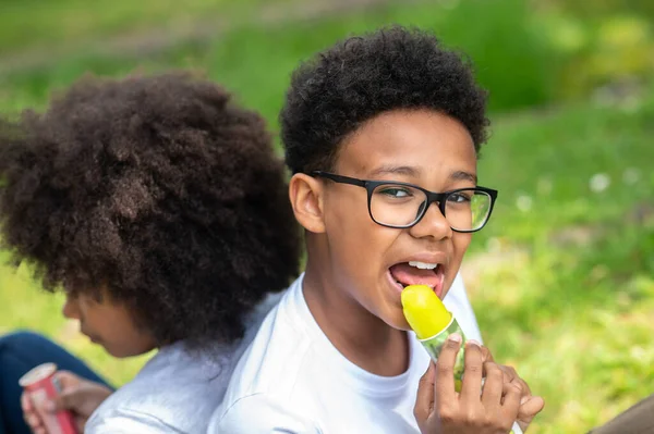 Dos Niños Con Camisetas Blancas Comiendo Helado Parque Sentados Sobre —  Fotos de Stock