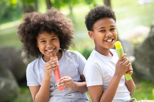 Двоє Дітей Білих Футболках Їдять Морозиво Парку Сидячи Зеленій Траві — стокове фото