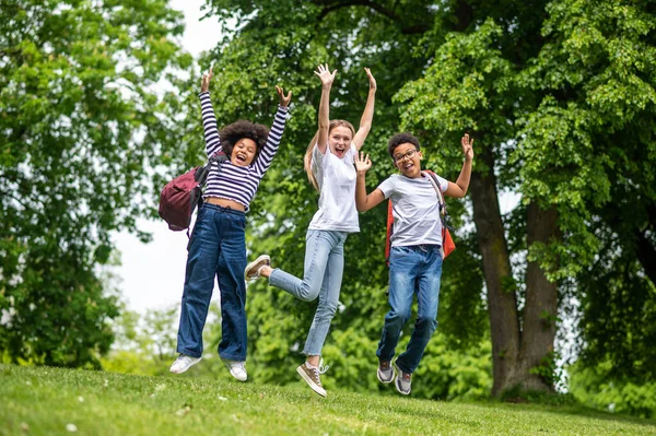 Pessoas Felizes Grupo Jovens Sentindo Animado Feliz Parque — Fotografia de Stock