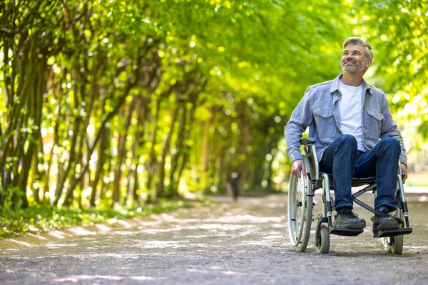 Tekerlekli Sandalyede Günlük Giysiler Giyen Çekici Gri Saçlı Adam Parkta — Stok fotoğraf