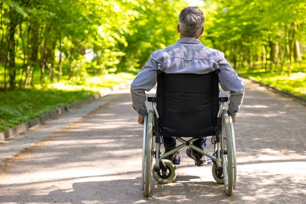 Tekerlekli Sandalyedeki Kazadan Sonra Arka Planda Kalan Adam Yazın Parkta — Stok fotoğraf