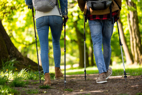 Walk in the forest. Two people on the road in the forest with scandinavian sticks