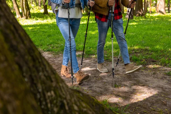 Traveling. Travelers with scandinavian sticks in a spring forest