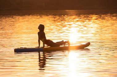 Yoga pozisyonunda genç bir kadın gündoğumunda ya da günbatımında sakin denizde sörf tahtası üzerinde pratik yapıyor..
