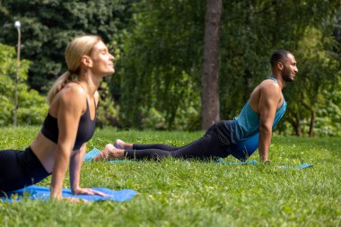 Doğada eğitim. Yaz sporu. Konsantrasyon ve esneme. Yeşil Park 'ta yoga egzersizleri yapan erkek ve kadın..