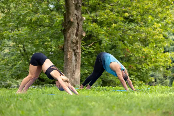 Strength training. Couples wellness. Together in yoga. Man and woman doing yoga exercises in green park.