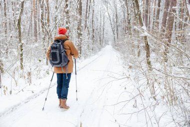 - Soğuk. Karlı bir ormanda İskandinav çubuklarıyla yürüyen bir adam.