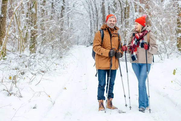 Two people in forest. Mature couple having a walk in a snowy forest with scandinavian sticks