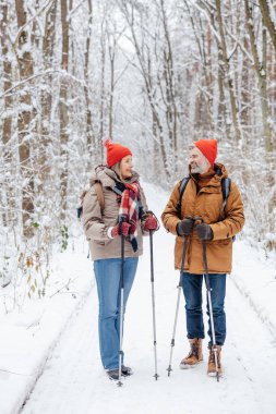 İskandinav yürüyüşü. Olgun bir çift İskandinav çubuklarıyla yürüyor.