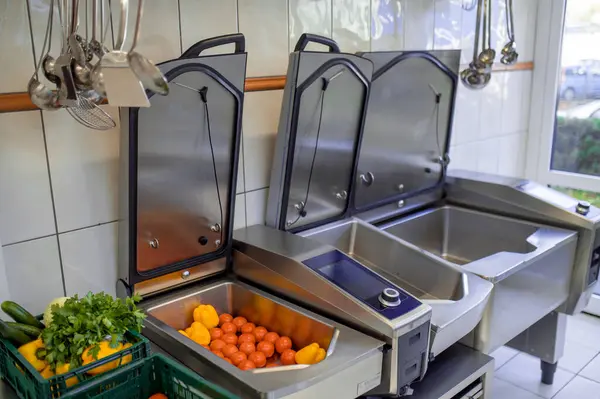 Sayuran Organik Segar Wastafel Dapur Restoran — Stok Foto