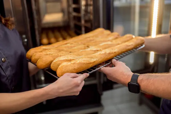 Pembuat Roti Yang Tak Dikenal Memegang Nampan Dengan Baguette Panggang — Stok Foto