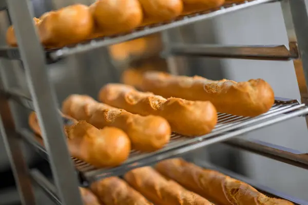 Beberapa Nampan Baguette Segar Dari Oven Toko Roti Komersial — Stok Foto