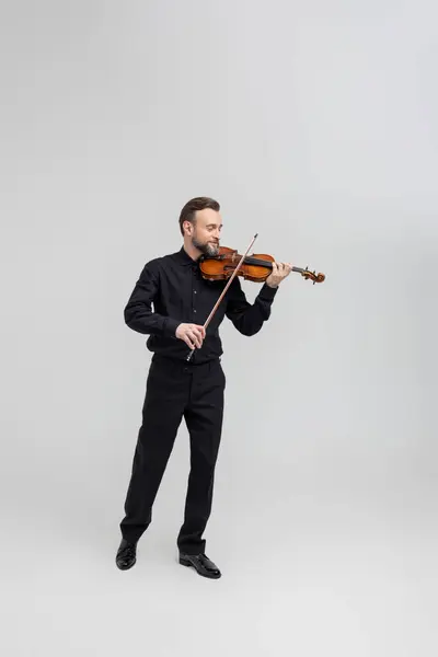 Adult Man Black Shirt Playing Violin Isolated Light Gray Background lizenzfreie Stockbilder
