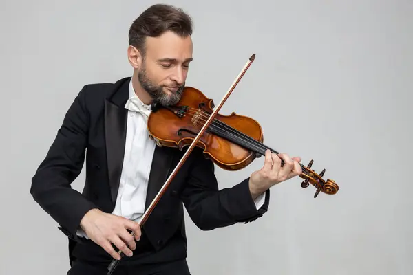 Bearded Fiddler Violin Instrument Isolated Light Gray Background Stockbild