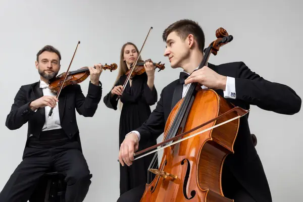 Musicians Playing Contrabass Violins Isolated White Background lizenzfreie Stockbilder