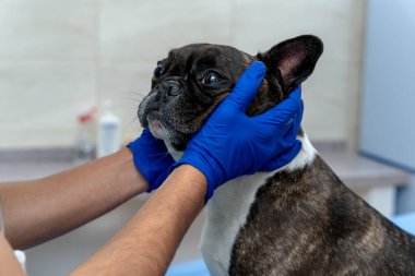 Veteriner işte. Eldivenle köpek kafası tutan insanların ellerini kapat.