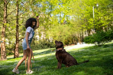 Parkta. Parkta köpeği olan zayıf, beyaz bir kadın.