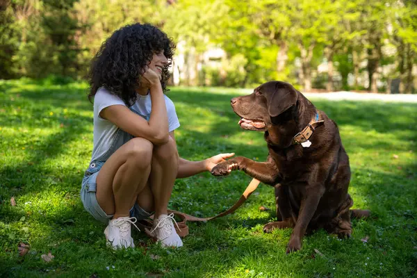 Köpekle oynuyordum. Kıvırcık saçlı genç kadın parkta köpeğiyle oynuyor.