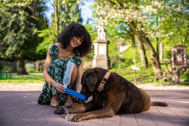 Susamış köpek. Kıvırcık saçlı genç kadın susamış bir köpeğe su veriyor.