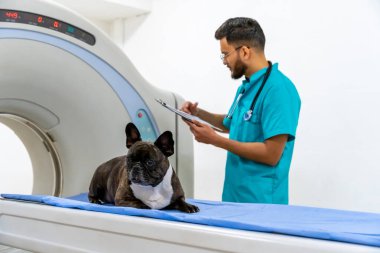 Prosedür öncesi. MRI cihazları üzerinde klinikte çalışan veterinerler, prosedürü bekleyen köpek...