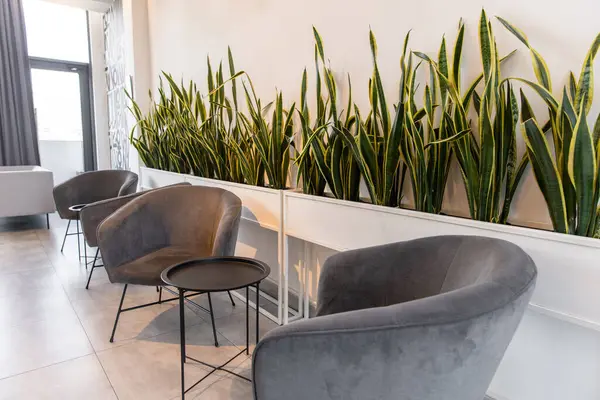 Modern ofis. Modern mobilyaları ve tasarımı olan bir ofis binasının resmi