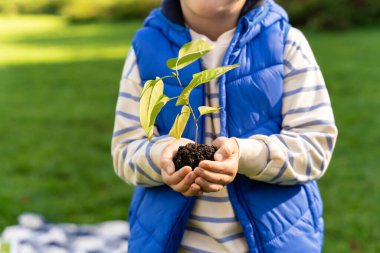 Doğanın önemini ve ekolojik korumayı öğrenmek için elinde küçük yeşil bir filiz tutan tanınmayan bir çocuk.