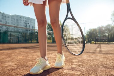 Tenis topları. Tenis kortlarında sarı tenis topları olan sepeti kapat.