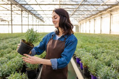 Saksı bitkisi. Elinde saksı bitkisiyle bir serada duran koyu saçlı genç bir kadın.