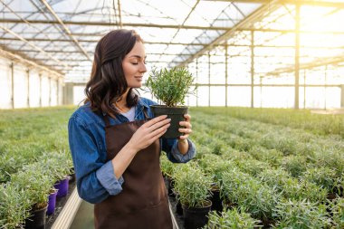 Saksı bitkisi. Elinde saksı bitkisiyle bir serada duran koyu saçlı genç bir kadın.
