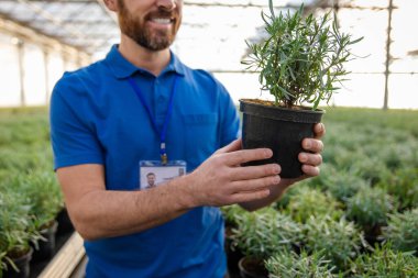 Bitkili bir adam. Gülümseyen sakallı beyaz bir adam elinde saksıyla bir serada
