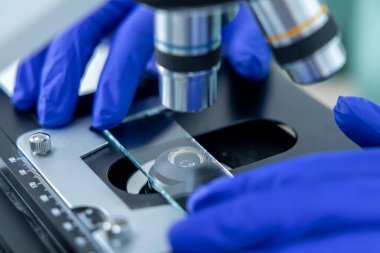 Laboratuvardaki tanınmayan teknisyen bilimsel yenilik araştırmalarında test için mikroskop altında numunelere bakıyor.